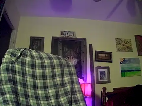 druetrue online show from October 31, 2025, 11:29 am