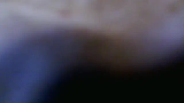 Taylorsexbot online show from April 17, 2026, 11:46 am