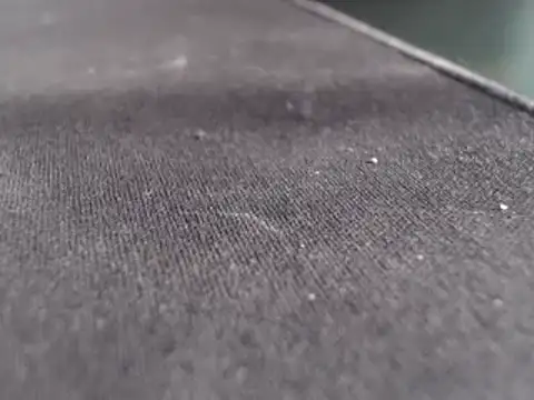 Snapshot of LatinoSized chatting on March 8, 2025, 1:47 pm LatinoSized online show from March 8, 2025, 1:47 pm