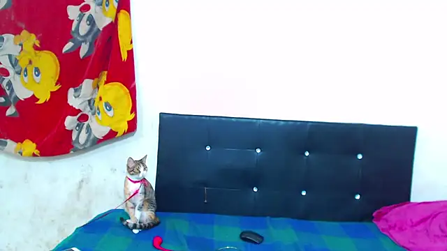 The wickles 4443 online show from February 9, 2026, 5:05 am