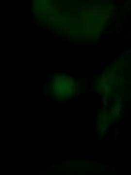 Vuyokaki online show from November 30, 2025, 2:34 am