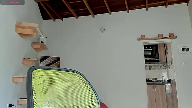 Rainbow leia online show from October 12, 2025, 7:04 pm