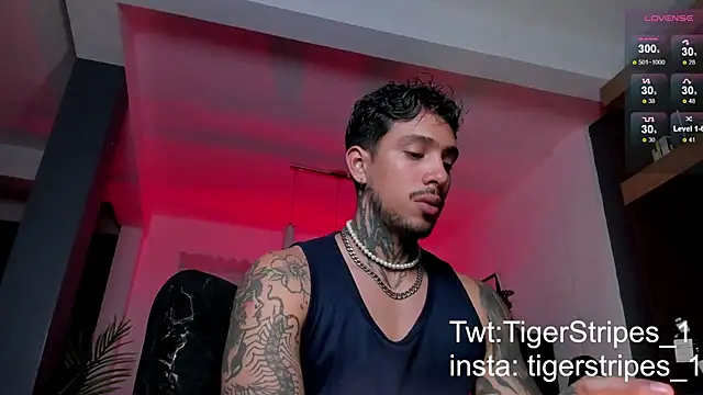 Snapshot of TigerStripes1_ chatting on February 9, 2025, 5:40 am TigerStripes1 online show from February 9, 2025, 5:40 am