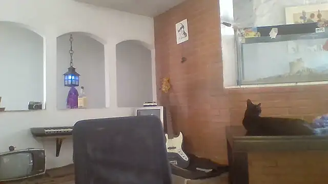 Stevenson988 online show from January 14, 2026, 6:00 pm