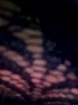 Snapshot of 09punjabi chatting on March 13, 2025, 2:44 pm 09punjabi online show from March 13, 2025, 2:44 pm